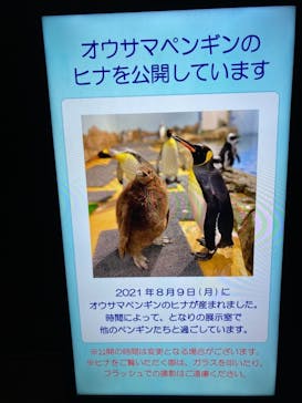 マクセル アクアパーク品川に投稿された画像（2021/12/25）