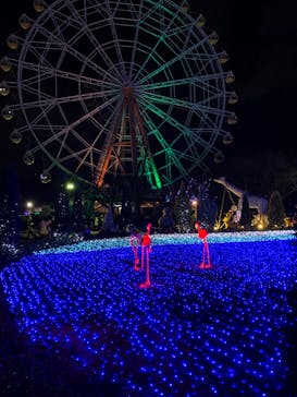 東武動物公園に投稿された画像（2021/12/25）