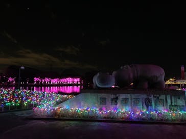 東武動物公園に投稿された画像（2021/12/25）