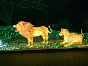 東武動物公園に投稿された画像（2021/12/25）