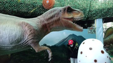 千葉こどもの国 キッズダムに投稿された画像（2021/12/25）