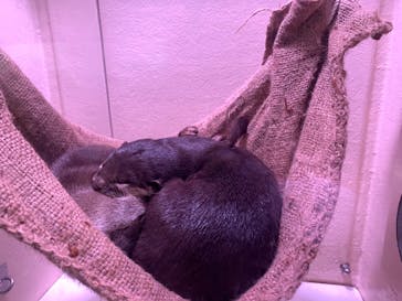 マクセル アクアパーク品川に投稿された画像（2021/12/25）