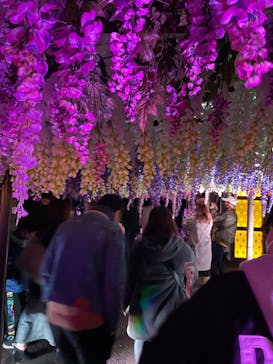 東京メガイルミに投稿された画像（2021/12/25）