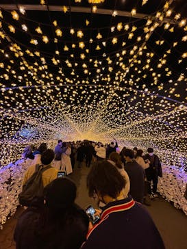 東京メガイルミに投稿された画像（2021/12/25）