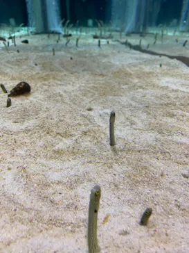 すみだ水族館に投稿された画像（2021/12/25）