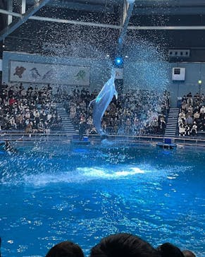 マクセル アクアパーク品川に投稿された画像（2021/12/25）