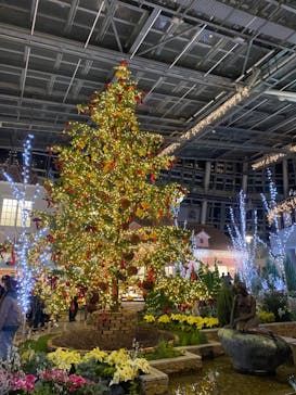 安城産業文化公園デンパークに投稿された画像（2021/12/25）