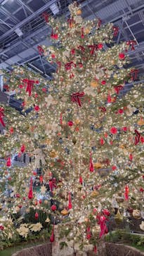 安城産業文化公園デンパークに投稿された画像（2021/12/25）