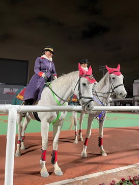 東京メガイルミに投稿された画像（2021/12/25）