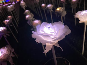 東京メガイルミに投稿された画像（2021/12/25）