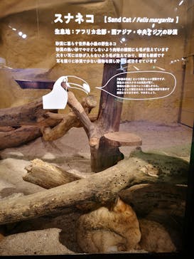 ネオパークオキナワに投稿された画像（2021/12/25）