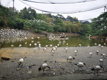 ネオパークオキナワに投稿された画像（2021/12/25）