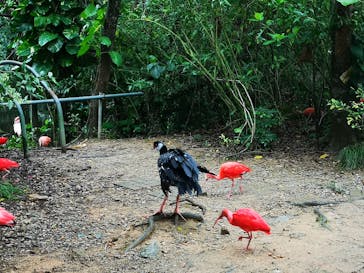 ネオパークオキナワに投稿された画像（2021/12/25）