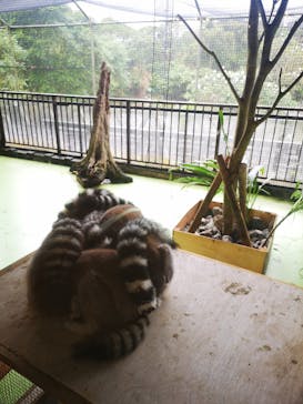 ネオパークオキナワに投稿された画像（2021/12/25）