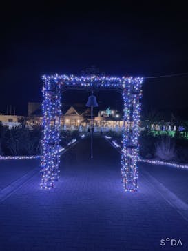 いばらきフラワーパークに投稿された画像（2021/12/25）