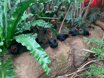 神戸どうぶつ王国に投稿された画像（2021/12/25）