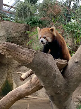 神戸どうぶつ王国に投稿された画像（2021/12/25）