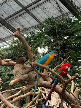 神戸どうぶつ王国に投稿された画像（2021/12/25）