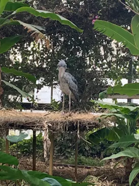 神戸どうぶつ王国に投稿された画像（2021/12/25）