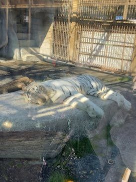 東武動物公園に投稿された画像（2021/12/25）
