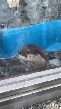 大分マリーンパレス水族館 「うみたまご」に投稿された画像（2021/12/25）