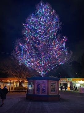東武動物公園に投稿された画像（2021/12/25）