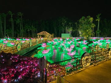 美らヤシパークオキナワ・東南植物楽園に投稿された画像（2021/12/25）