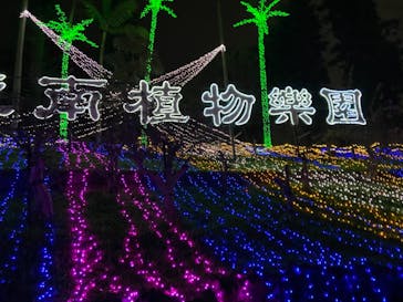 美らヤシパークオキナワ・東南植物楽園に投稿された画像（2021/12/25）