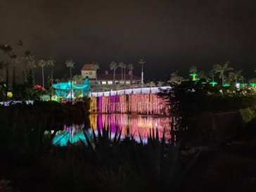 美らヤシパークオキナワ・東南植物楽園に投稿された画像（2021/12/25）