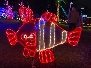 美らヤシパークオキナワ・東南植物楽園に投稿された画像（2021/12/25）