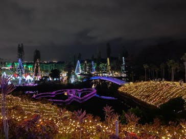美らヤシパークオキナワ・東南植物楽園に投稿された画像（2021/12/25）