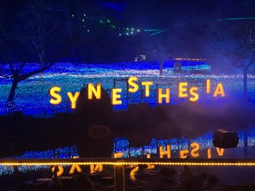 KYOTO ILLUMINATION SYNESTHESIA HILLS るり渓温泉に投稿された画像（2021/12/25）