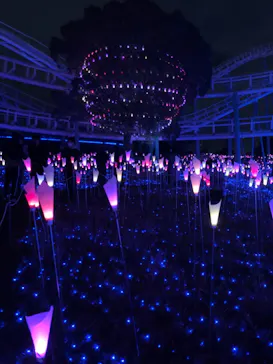 ひらかたパークに投稿された画像（2021/12/25）