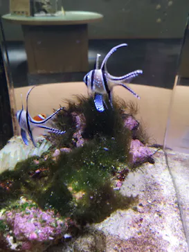 横浜・八景島シーパラダイスに投稿された画像（2021/12/25）