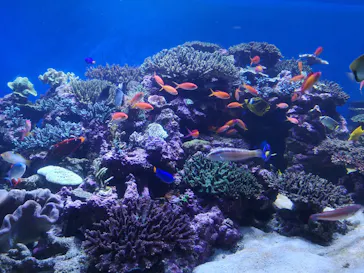 横浜・八景島シーパラダイスに投稿された画像（2021/12/25）