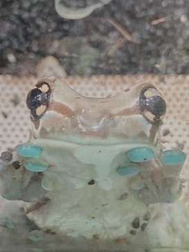 カワスイ 川崎⽔族館に投稿された画像（2021/12/25）