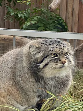 神戸どうぶつ王国に投稿された画像（2021/12/25）