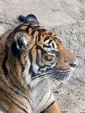 神戸どうぶつ王国に投稿された画像（2021/12/25）