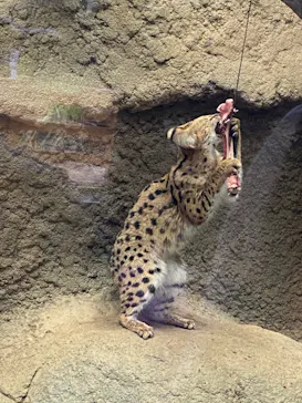 神戸どうぶつ王国に投稿された画像（2021/12/25）