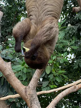 神戸どうぶつ王国に投稿された画像（2021/12/25）