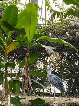 神戸どうぶつ王国に投稿された画像（2021/12/25）