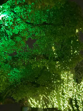 ひらかたパークに投稿された画像（2021/12/25）