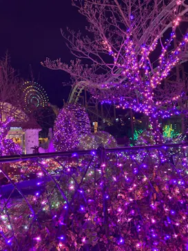 ひらかたパークに投稿された画像（2021/12/25）