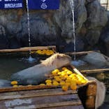 那須どうぶつ王国に投稿された画像（2021/12/25）