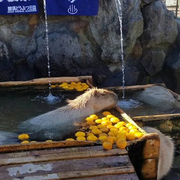 那須どうぶつ王国に投稿された画像（2021/12/25）