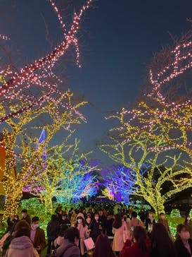 よみうりランド 遊園地に投稿された画像（2021/12/25）