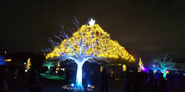 東京メガイルミに投稿された画像（2021/12/25）