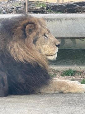 東武動物公園に投稿された画像（2021/12/25）