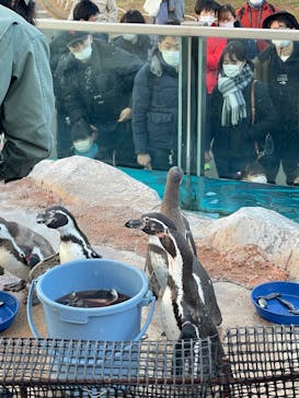 東武動物公園に投稿された画像（2021/12/25）