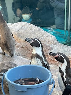 東武動物公園に投稿された画像（2021/12/25）